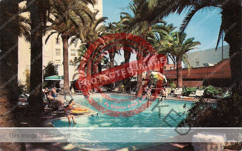 Hollywood Plaza Hotel Pool from a 1958 postcard.